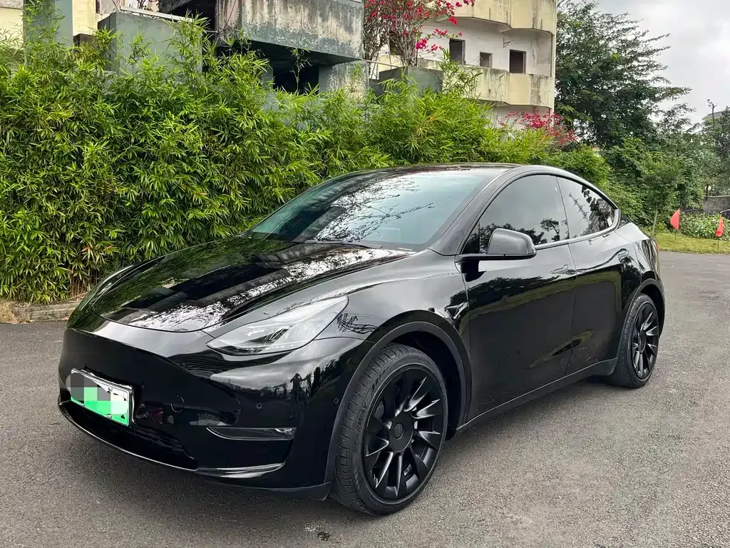 Tesla Model Y — фото 2