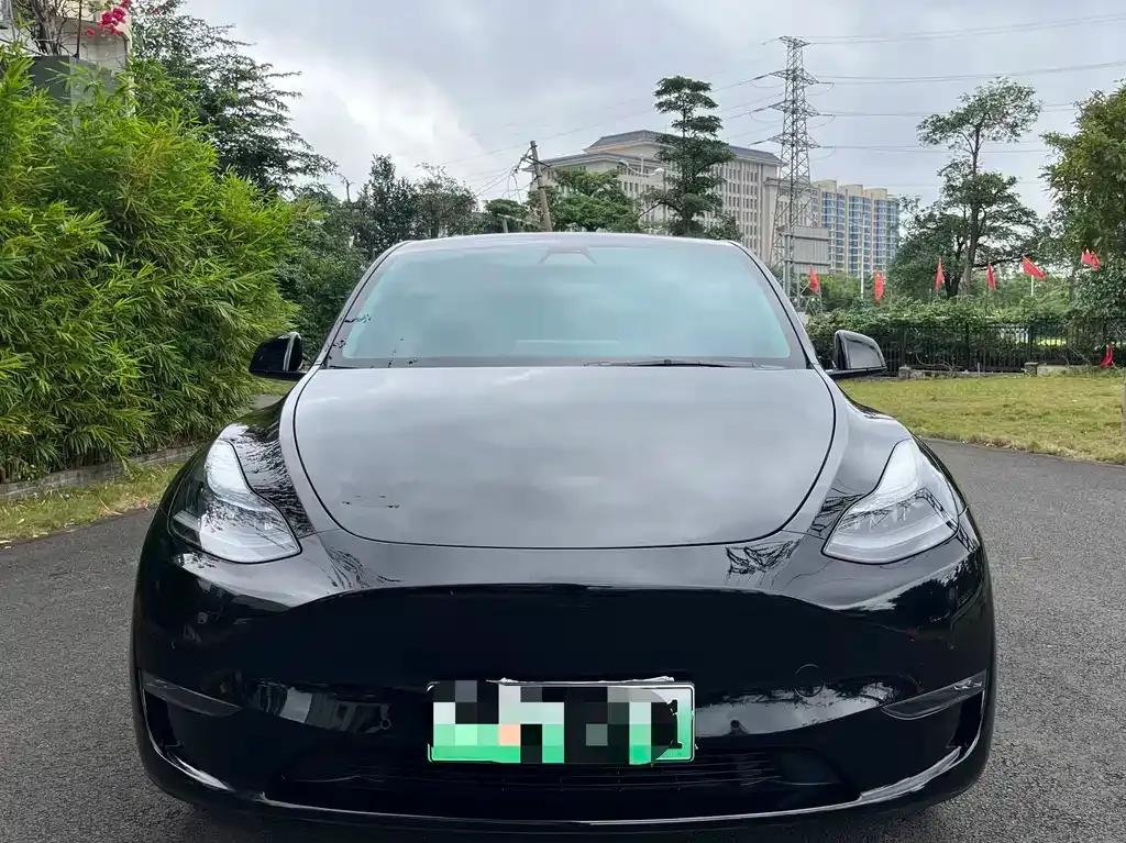Tesla Model Y — фото 3