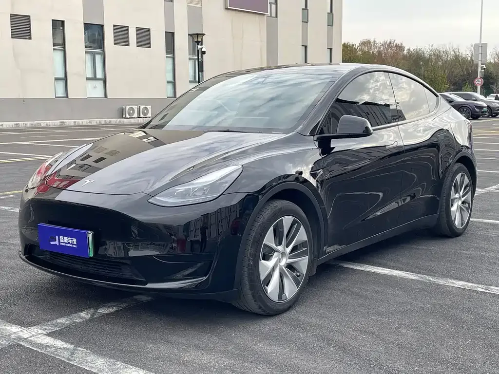 Tesla Model Y — фото 1