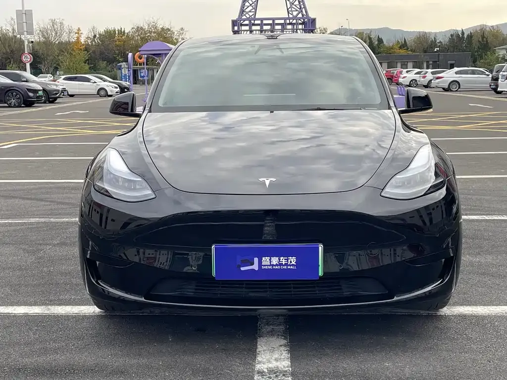 Tesla Model Y — фото 2