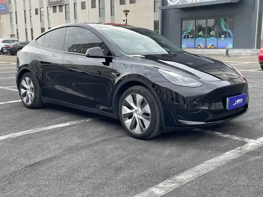 Tesla Model Y — фото 3