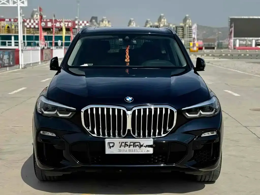 BMW X5 (Import) 2021 из CN, фото 2