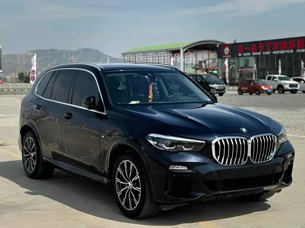 BMW X5 (Import) 2021 из CN, фото 3