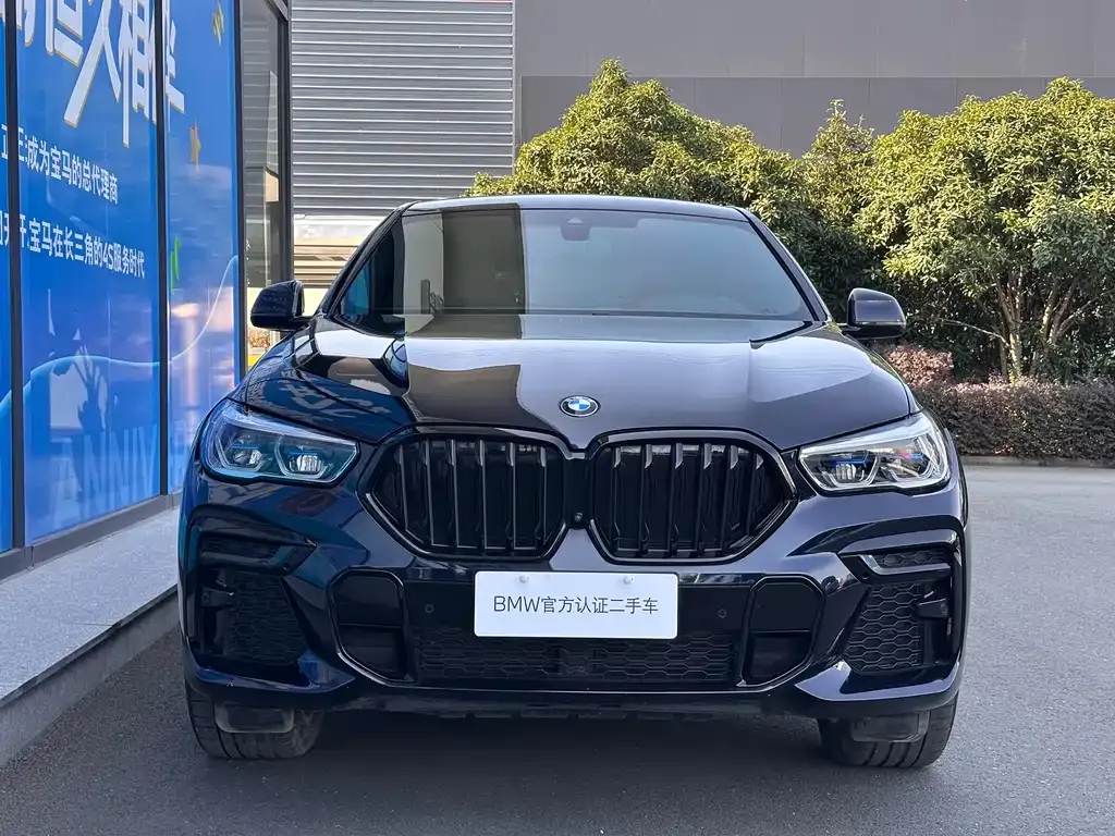BMW X6 2023 из CN, фото 2