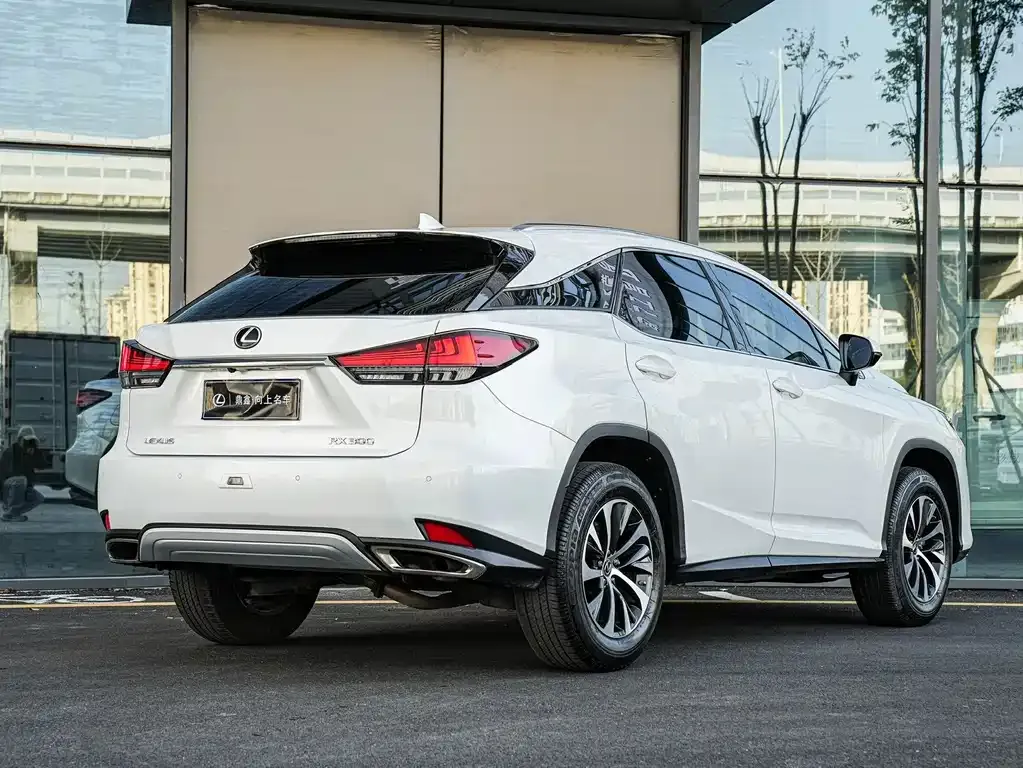 Lexus RX 2022 из CN, фото 3