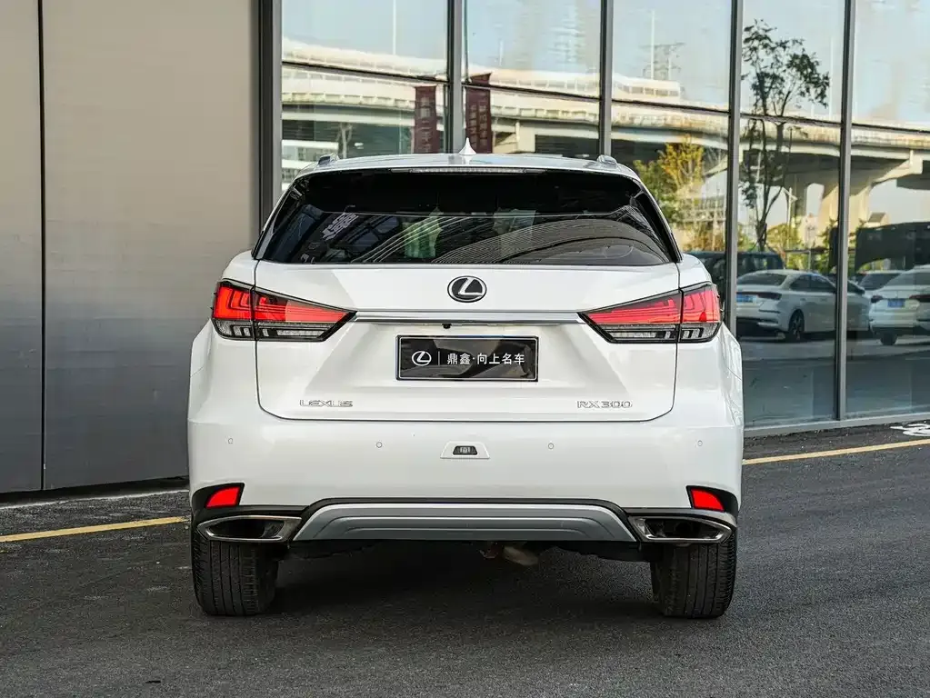 Lexus RX 2022 из CN, фото 4