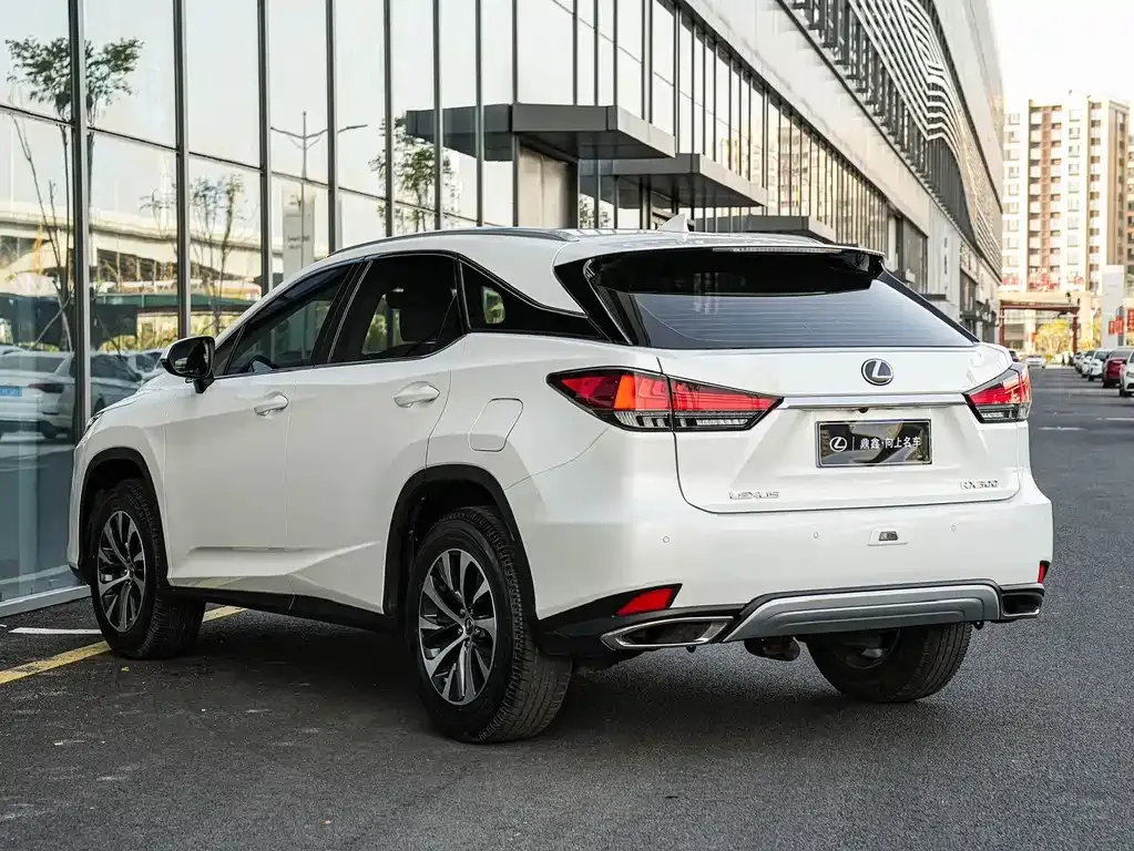Lexus RX 2022 из CN, фото 5
