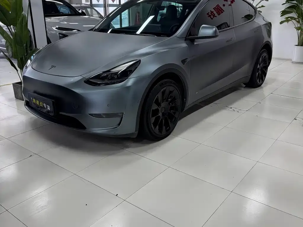 Tesla Model Y 2021 из CN, фото 1