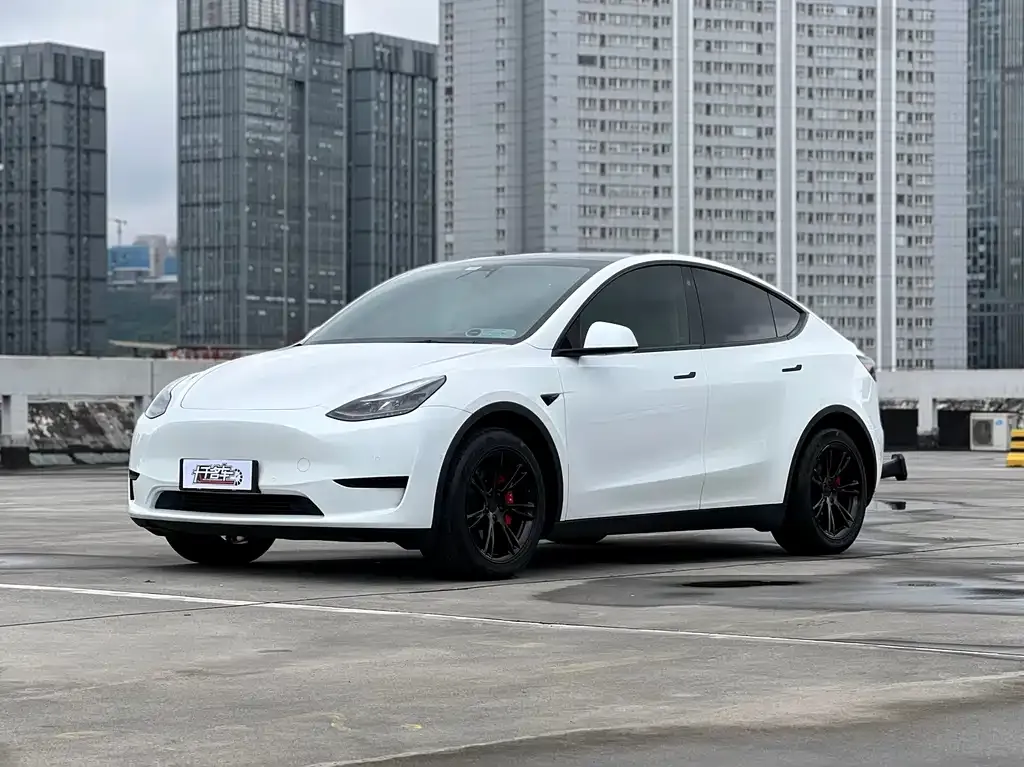 Tesla Model Y 2022 из CN, фото 1