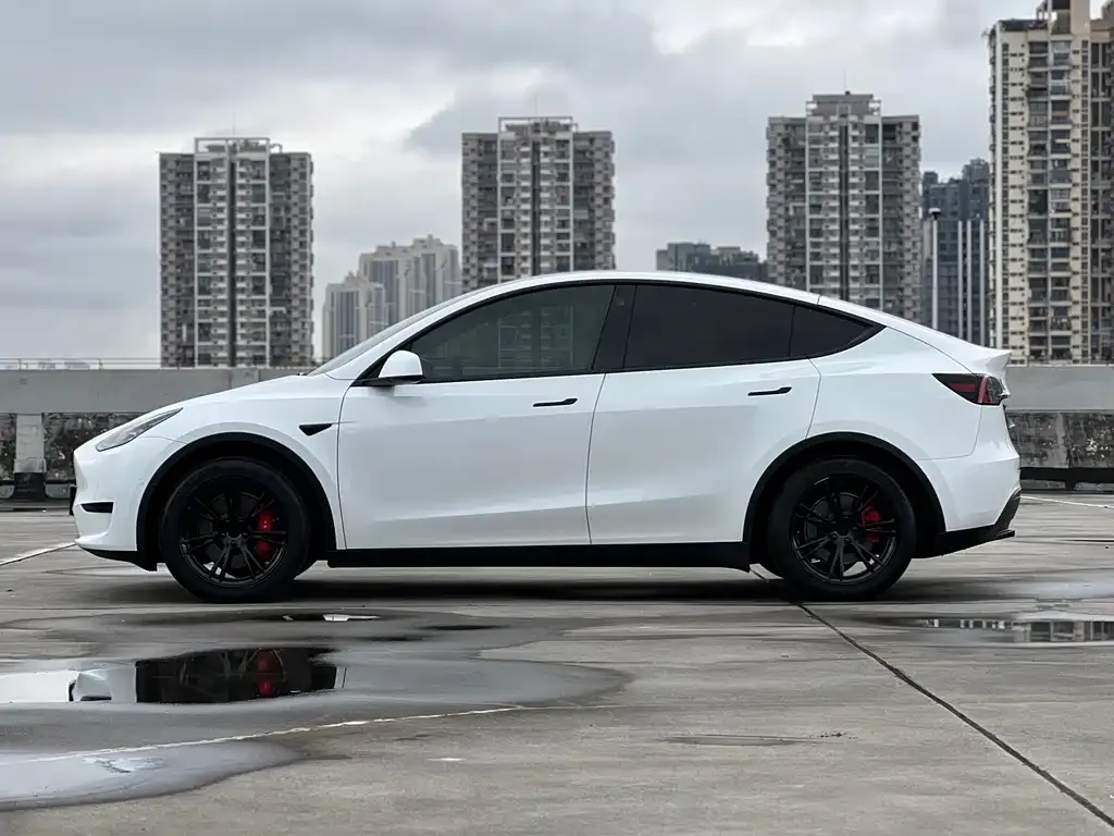Tesla Model Y 2022 из CN, фото 2