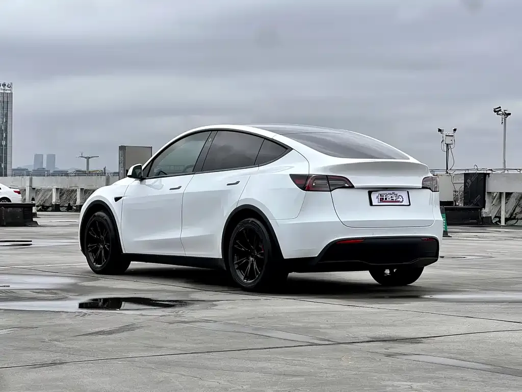 Tesla Model Y 2022 из CN, фото 3