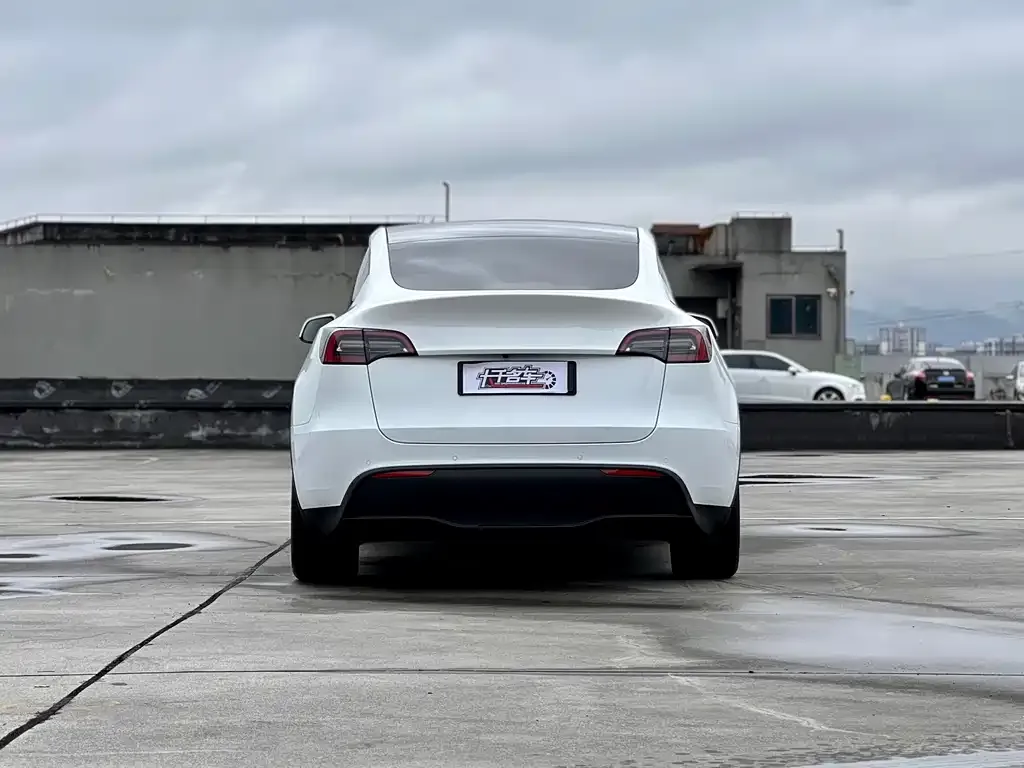 Tesla Model Y 2022 из CN, фото 4