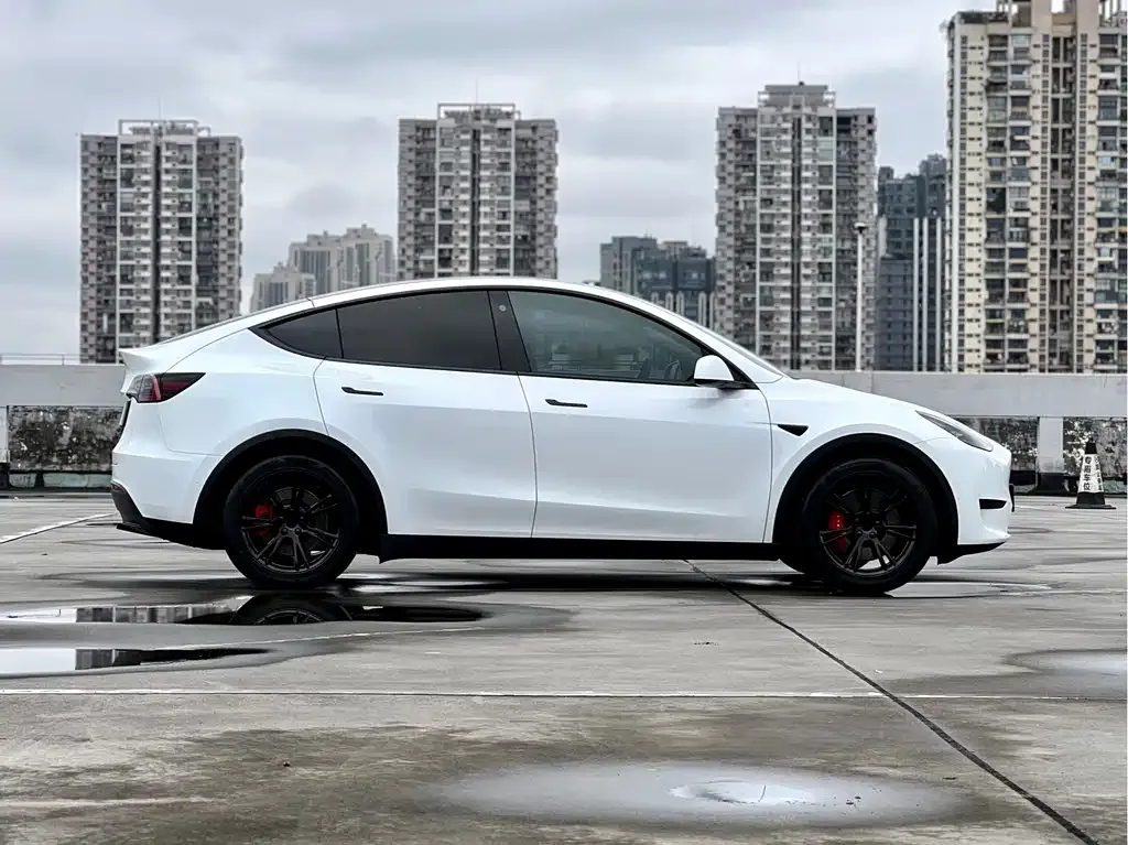 Tesla Model Y 2022 из CN, фото 6