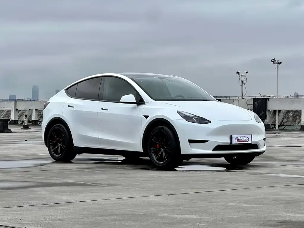 Tesla Model Y 2022 из CN, фото 7