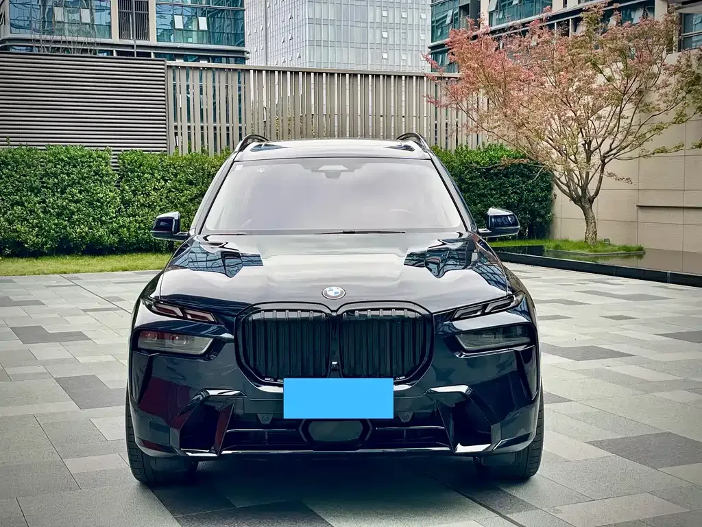 BMW X7 2023 из CN, фото 2