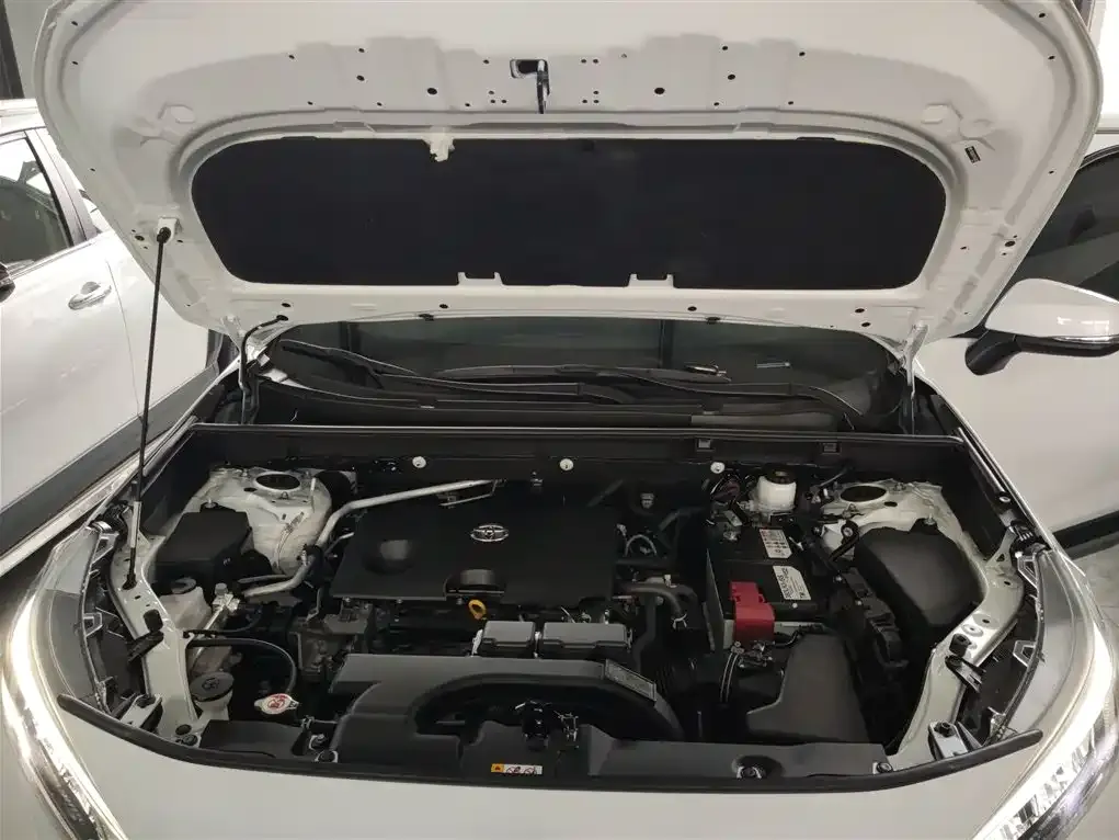 [object Object] Wildlander 2023 из CN, фото 10