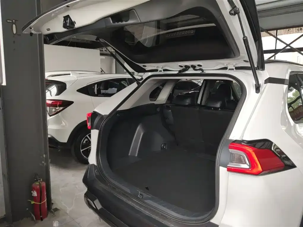 [object Object] Wildlander 2023 из CN, фото 9