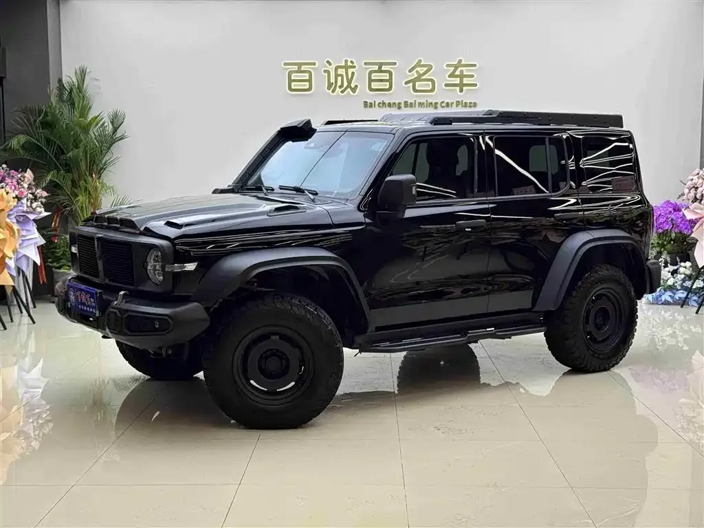 Tank 300 2024 из CN, фото 1