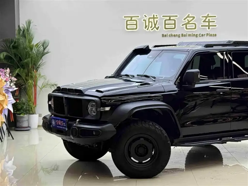 Tank 300 2024 из CN, фото 2