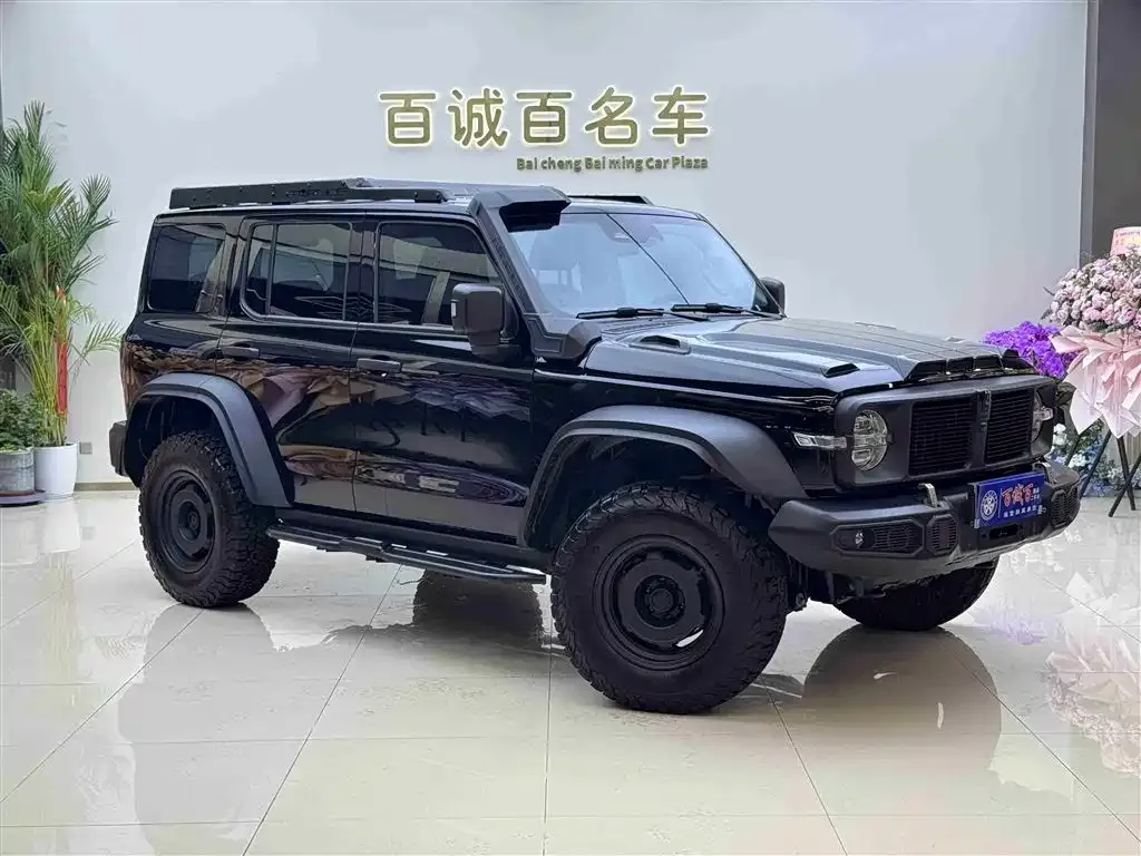 Tank 300 2024 из CN, фото 3