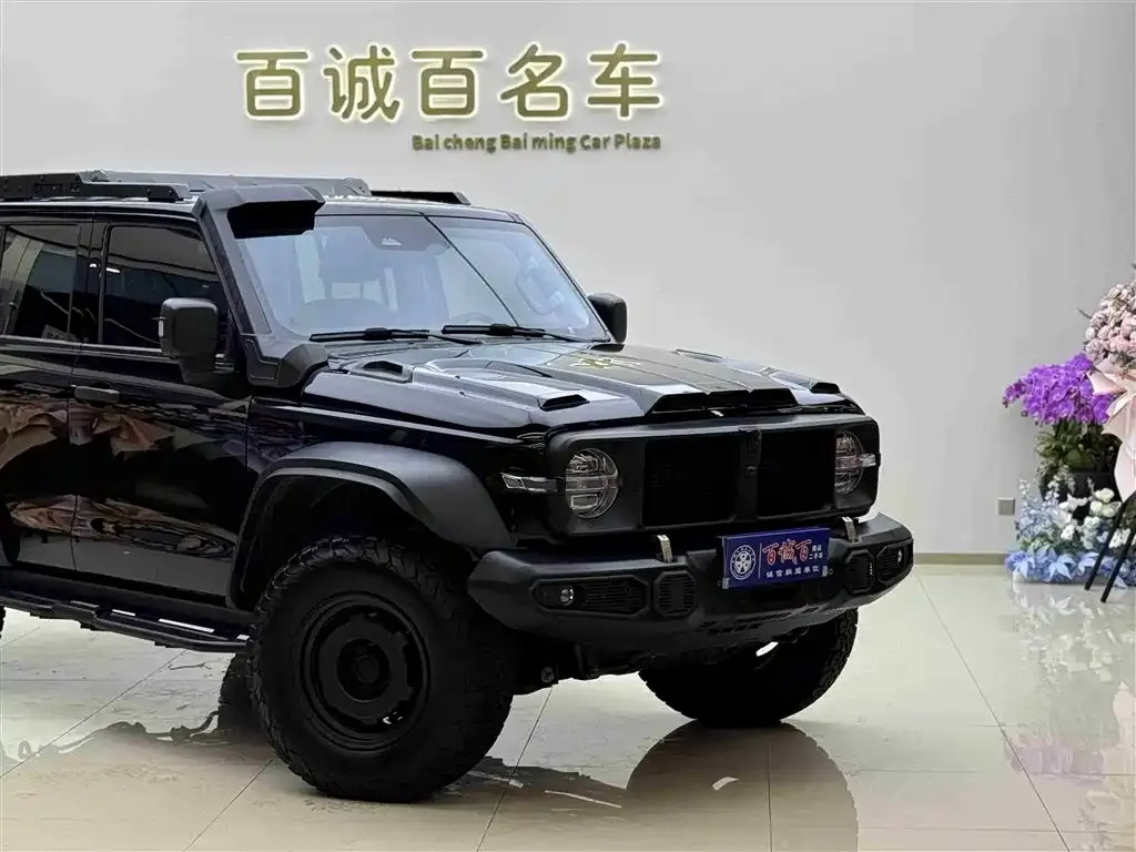 Tank 300 2024 из CN, фото 4