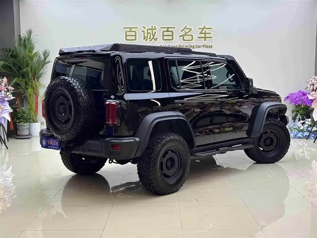 Tank 300 2024 из CN, фото 5