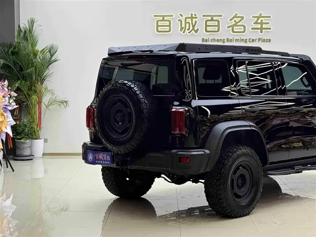 Tank 300 2024 из CN, фото 6