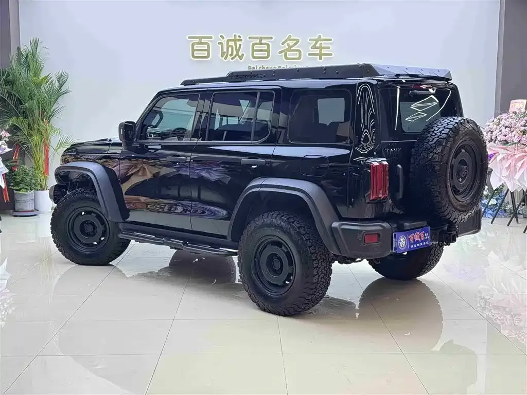 Tank 300 2024 из CN, фото 7