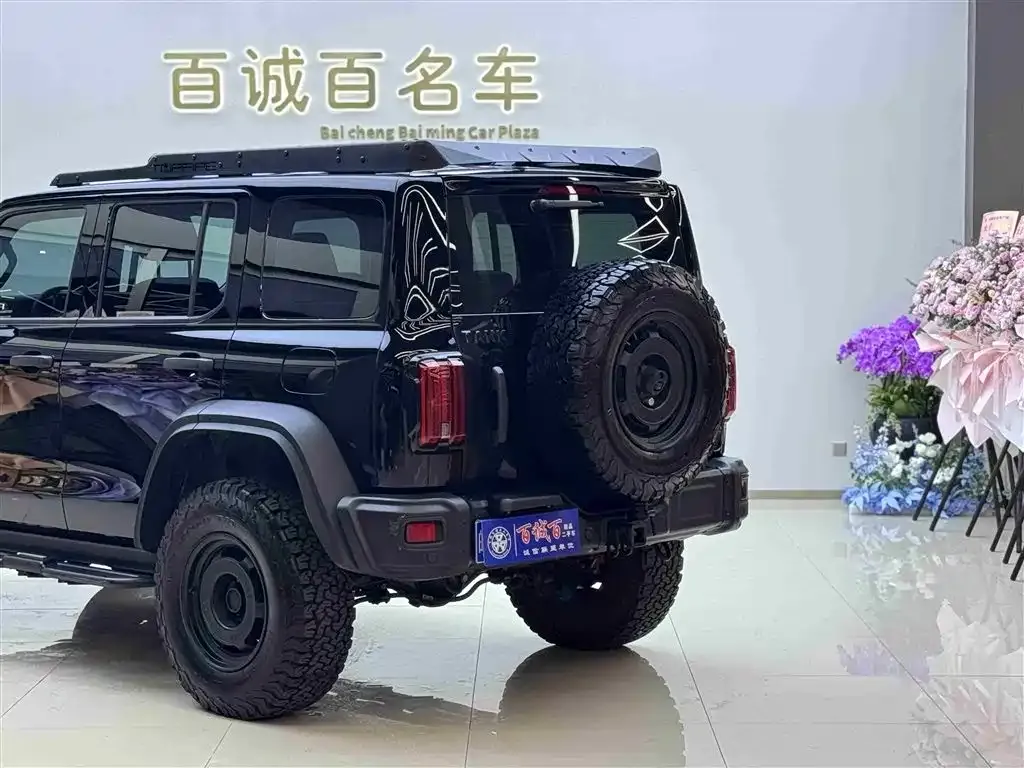 Tank 300 2024 из CN, фото 8