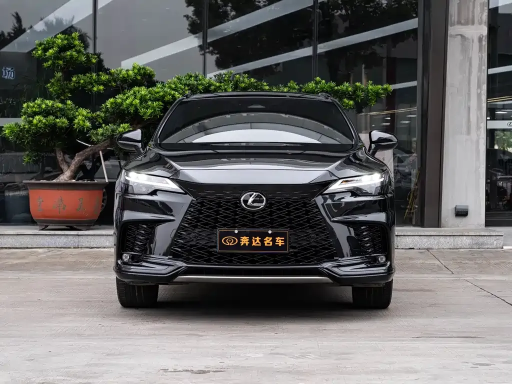 Lexus RX 2024 из CN, фото 2