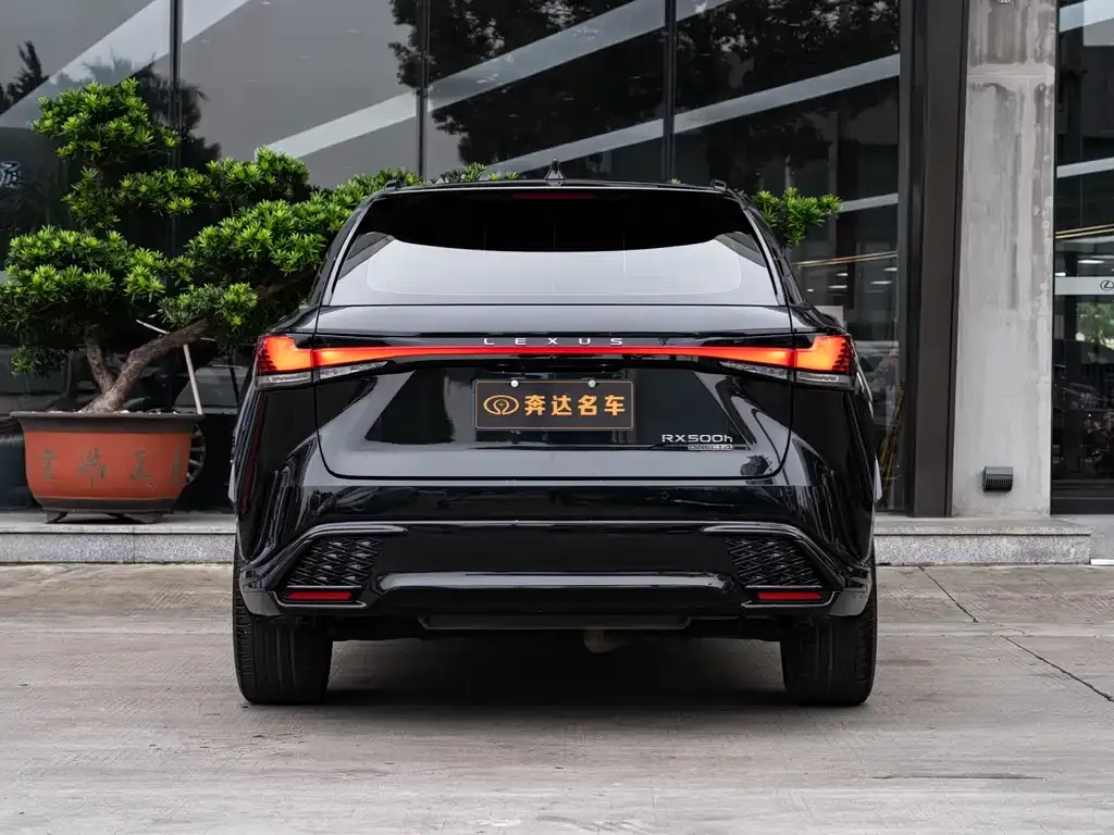 Lexus RX 2024 из CN, фото 5