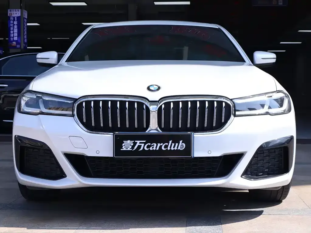 BMW 5 Series 2023 из CN, фото 2