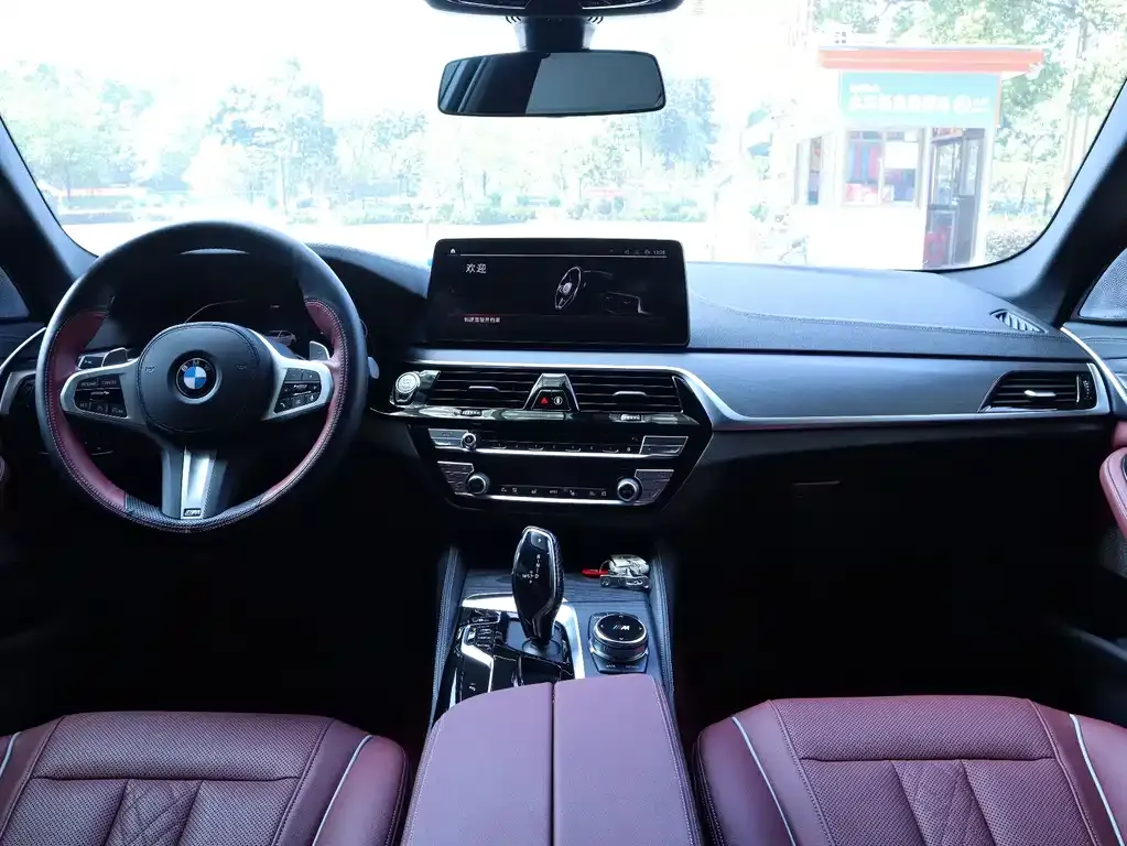 BMW 5 Series 2023 из CN, фото 4
