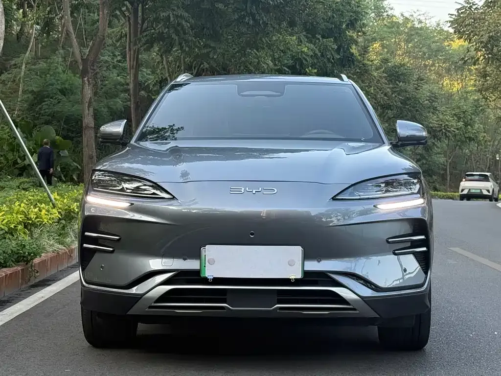 BYD PLUS New Energy 2025 из CN, фото 2