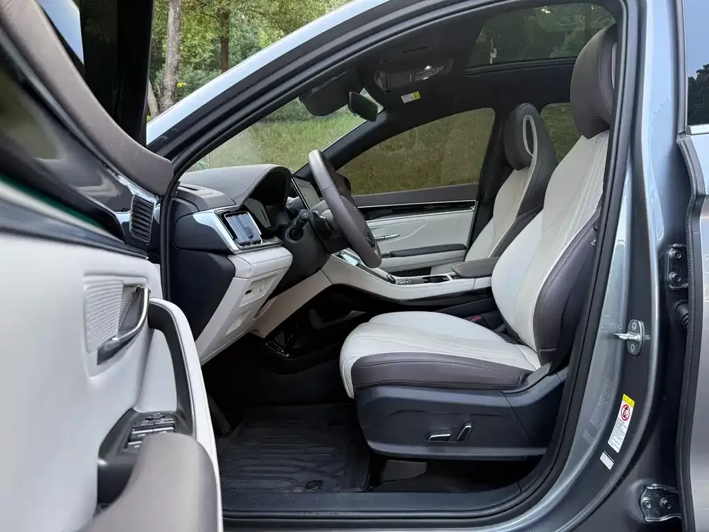 BYD PLUS New Energy 2025 из CN, фото 6