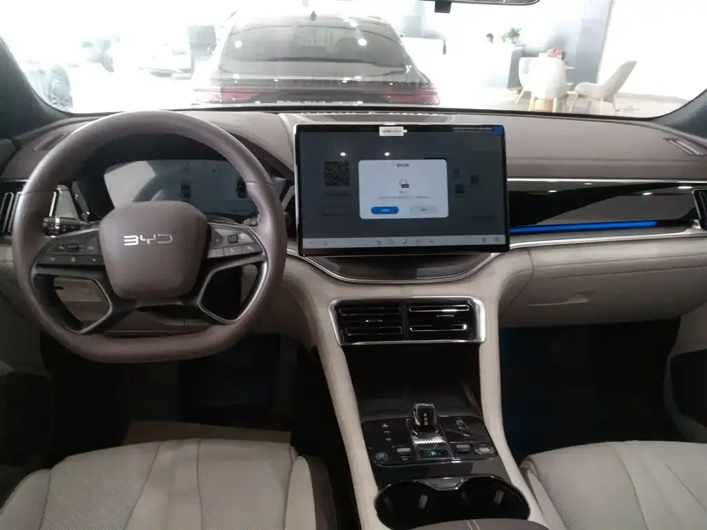 BYD PLUS New Energy 2025 из CN, фото 10