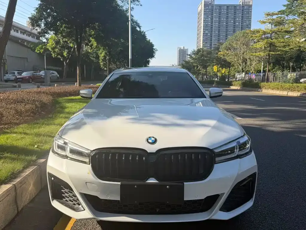 BMW 5 Series 2021 из CN, фото 1