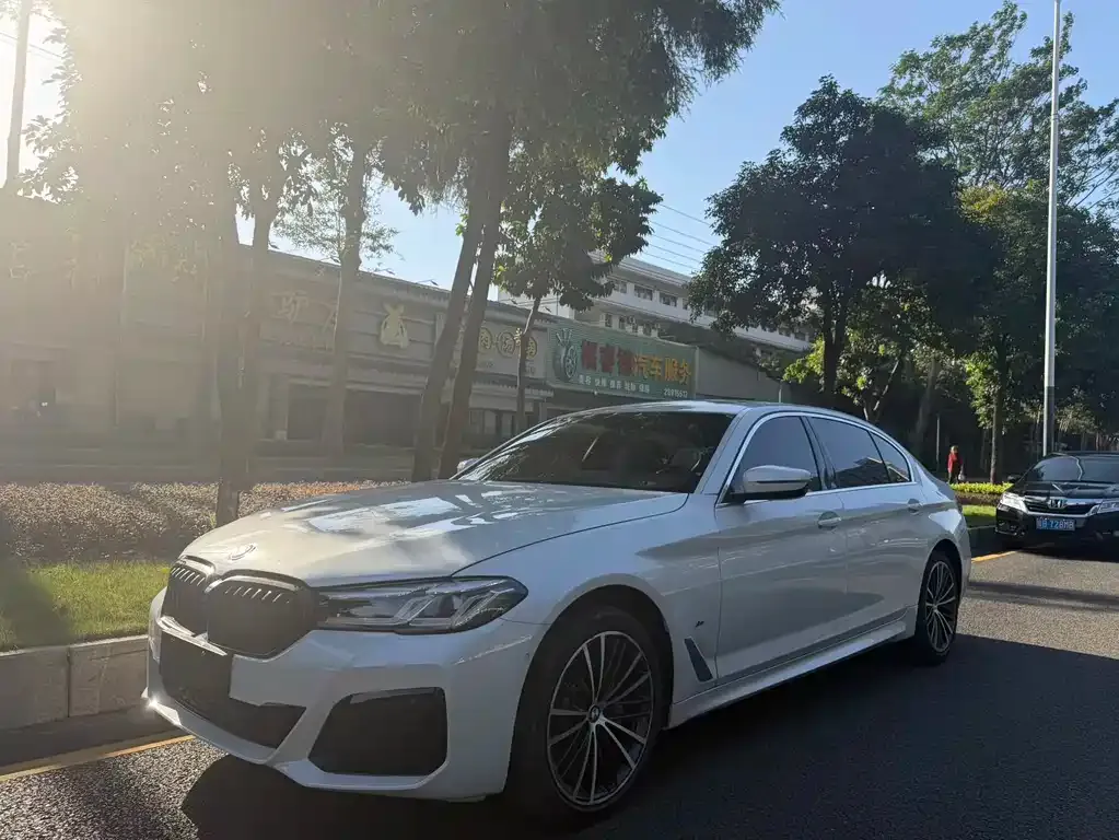 BMW 5 Series 2021 из CN, фото 2