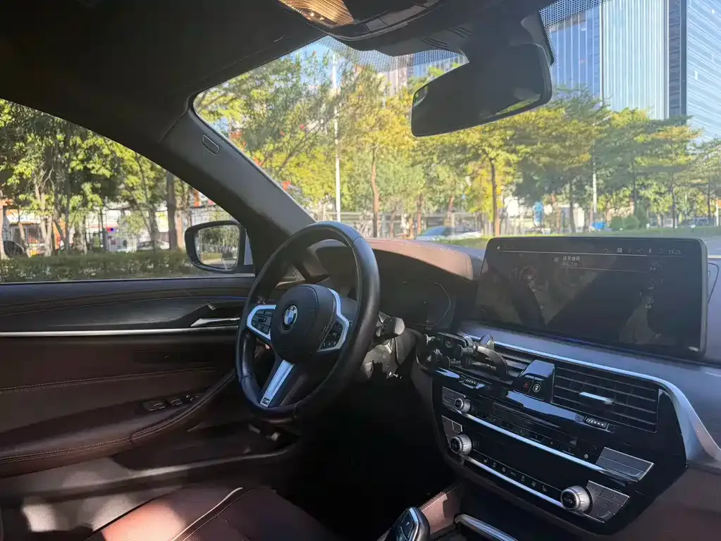 BMW 5 Series 2021 из CN, фото 3