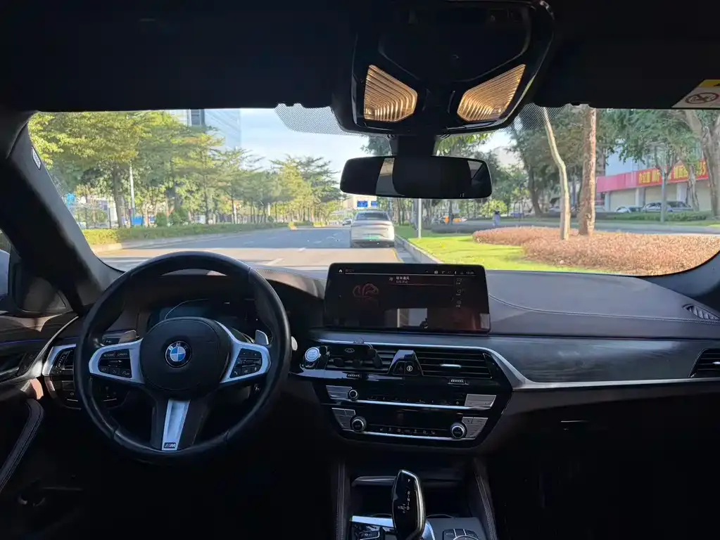 BMW 5 Series 2021 из CN, фото 4