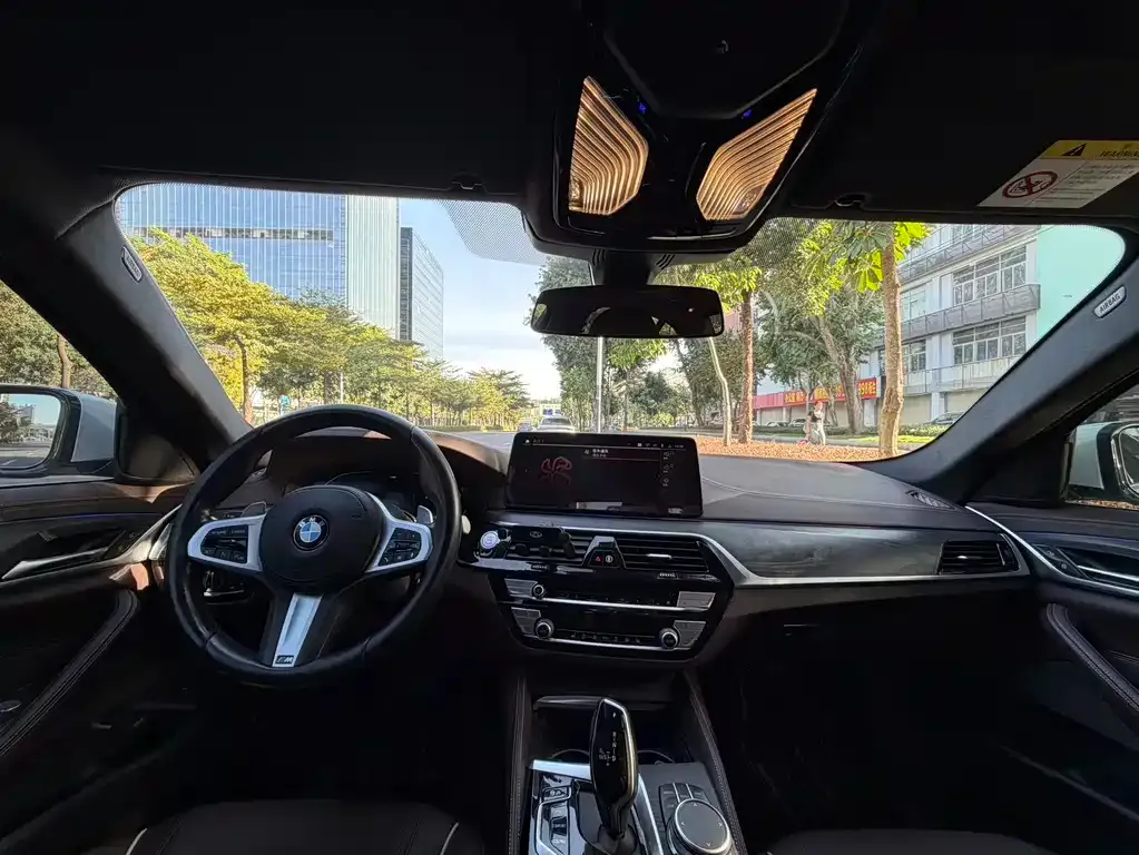 BMW 5 Series 2021 из CN, фото 5