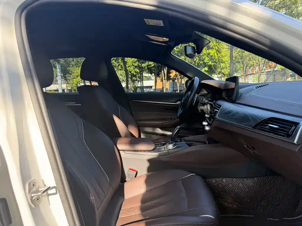 BMW 5 Series 2021 из CN, фото 7