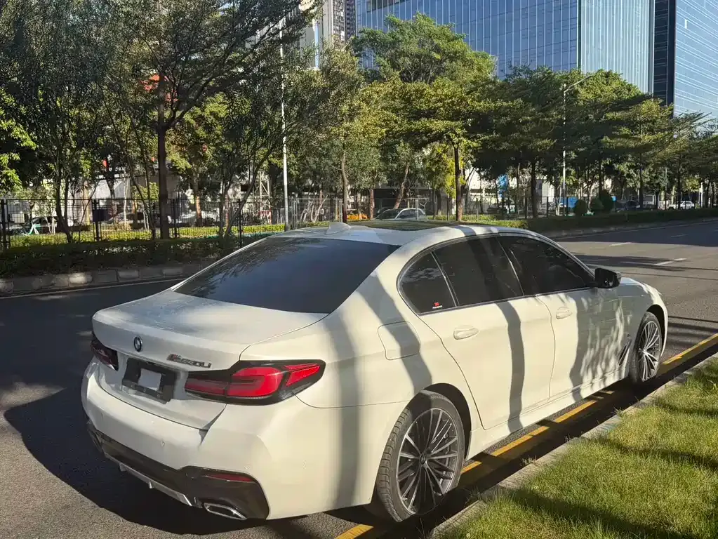 BMW 5 Series 2021 из CN, фото 8