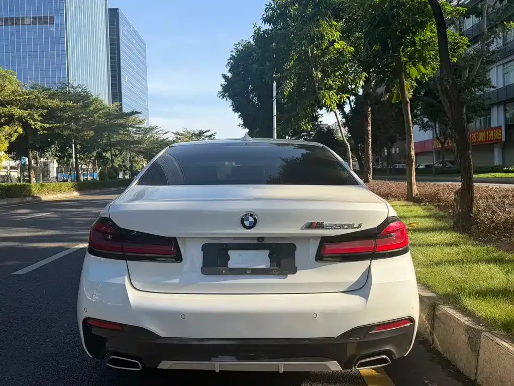 BMW 5 Series 2021 из CN, фото 9