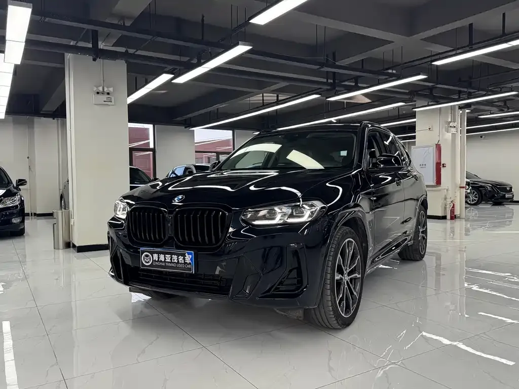 BMW X3 — фото 1