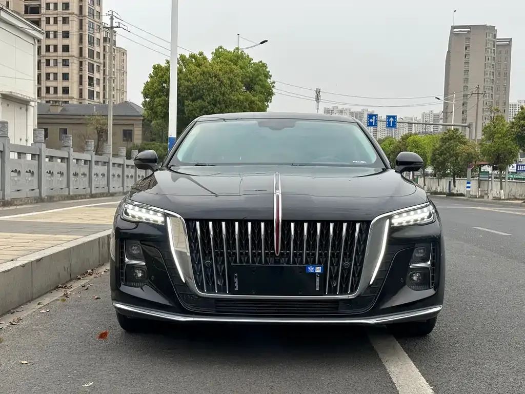Hongqi H5 2024 из CN, фото 2