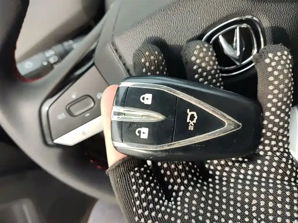 Changan CS55PLUS 2022 из CN, фото 9