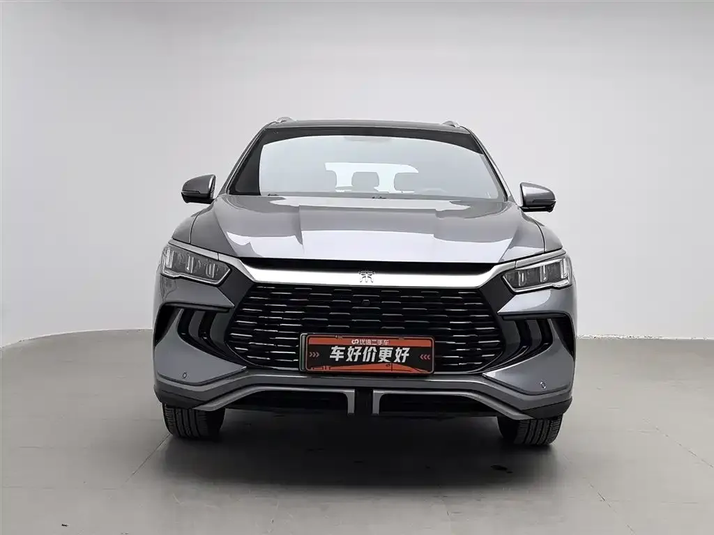 BYD Pro New Energy 2024 из CN, фото 3