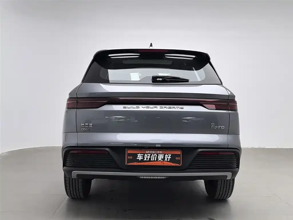 BYD Pro New Energy 2024 из CN, фото 4