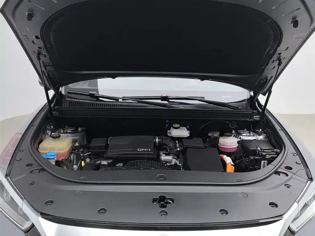 BYD Pro New Energy 2024 из CN, фото 6